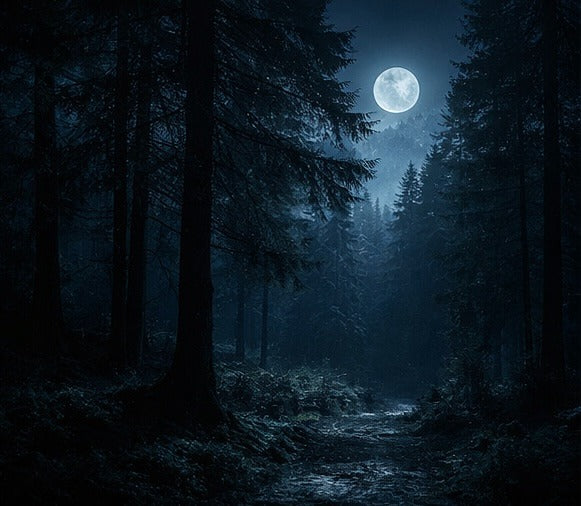 Company for the Hours You're Awake - Why We Exist